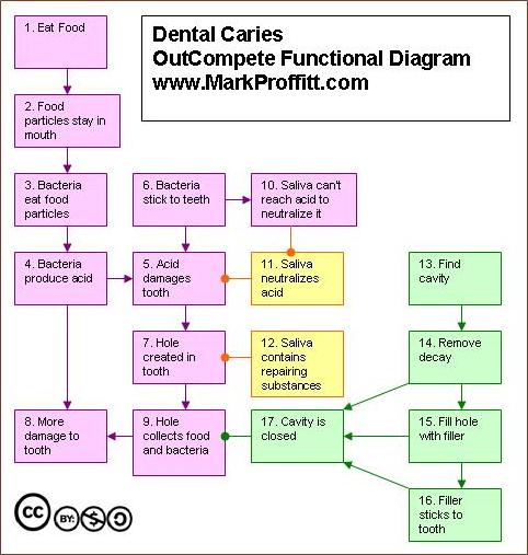 Dental Caries Functional Diagram